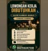 Logo Galeri Kambing Arabian
