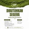 Logo UME MATCHA