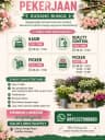 Logo Solo Florist Supply