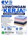 Logo Evo Laundry Express