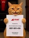 Logo AREI Outdoor Gear