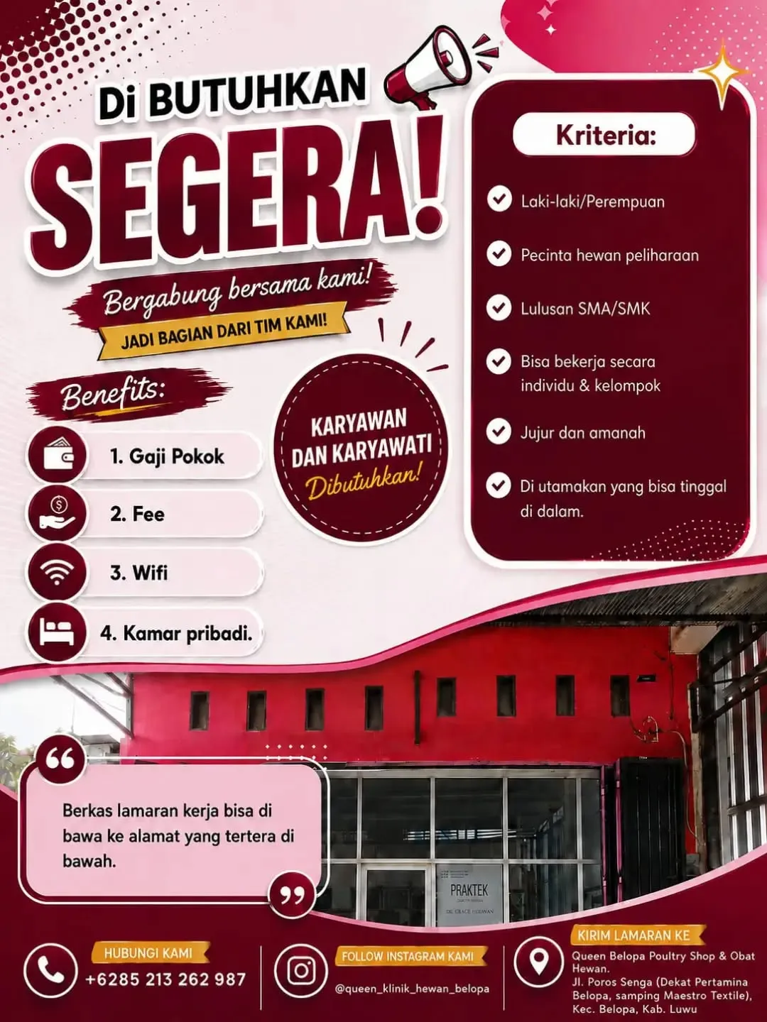 Logo Queen Belopa Poultry Shop & Obat Hewan