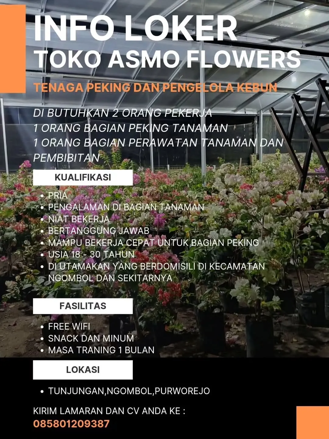 Logo TOKO ASMO FLOWERS