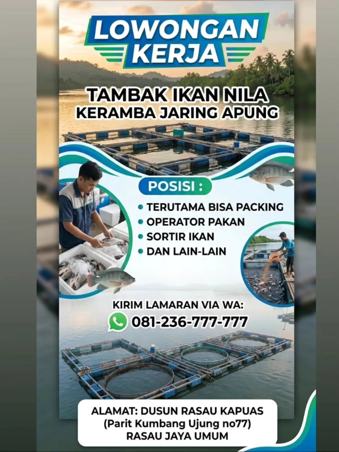 Logo Tambak Ikan Nila Keramba Jaring Apung