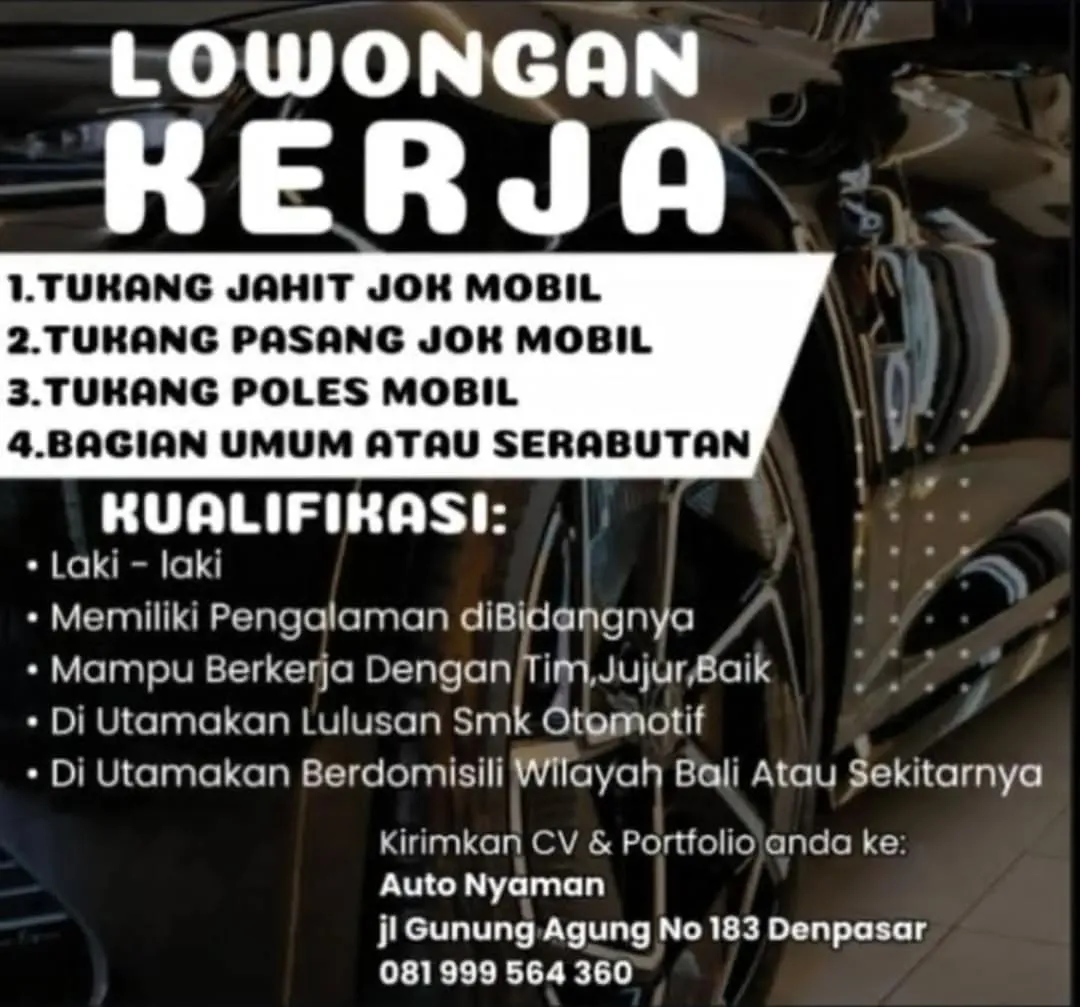 Logo Auto Nyaman