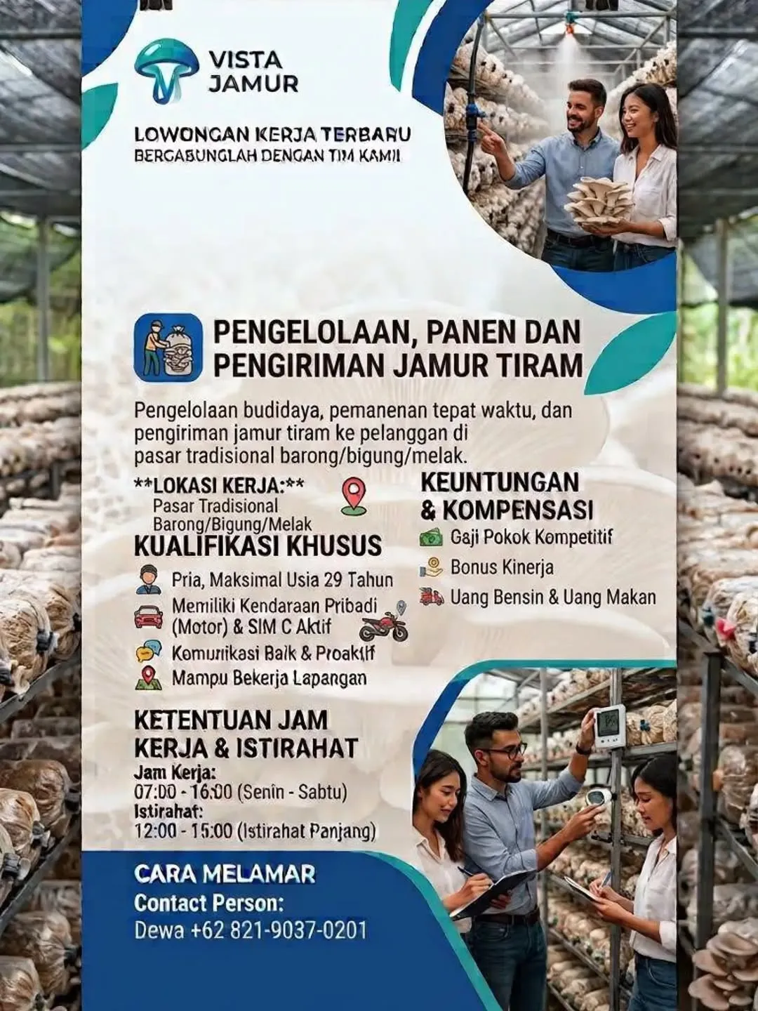 Logo Vista Jamur