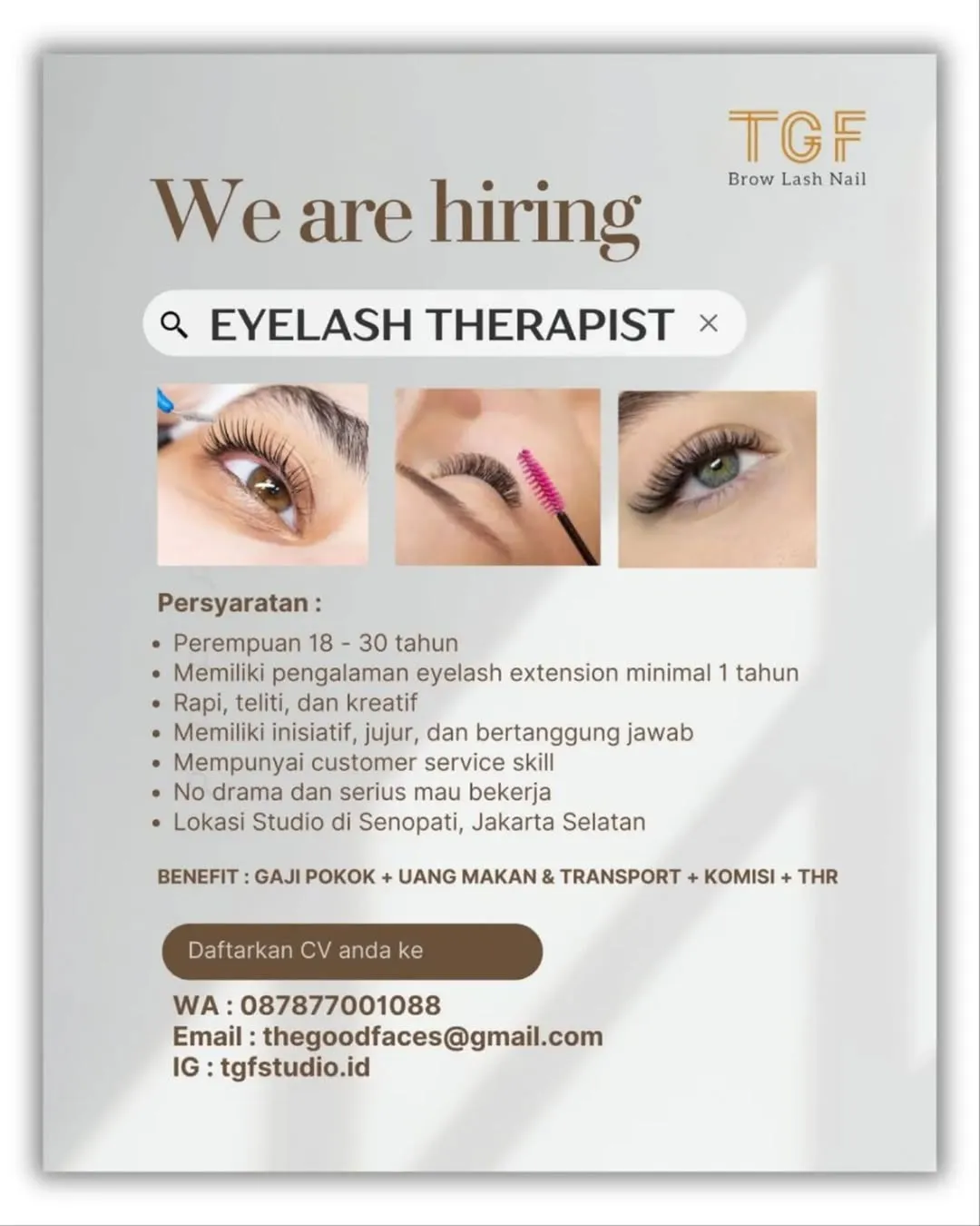 Logo TGF Brow Lash Nail