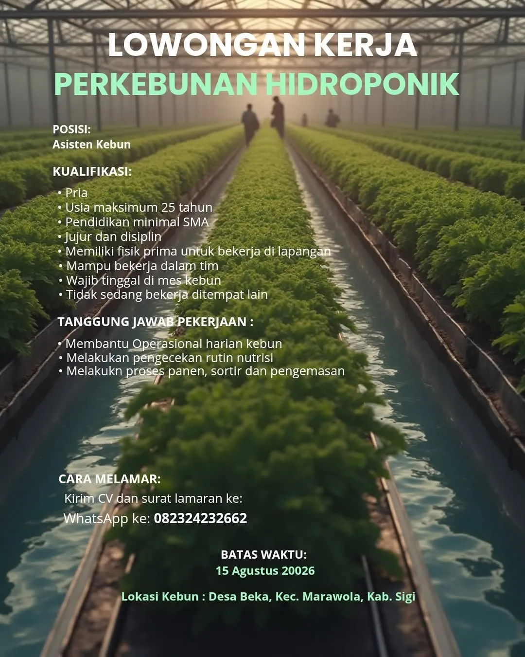 Logo Perkebunan Hidroponik