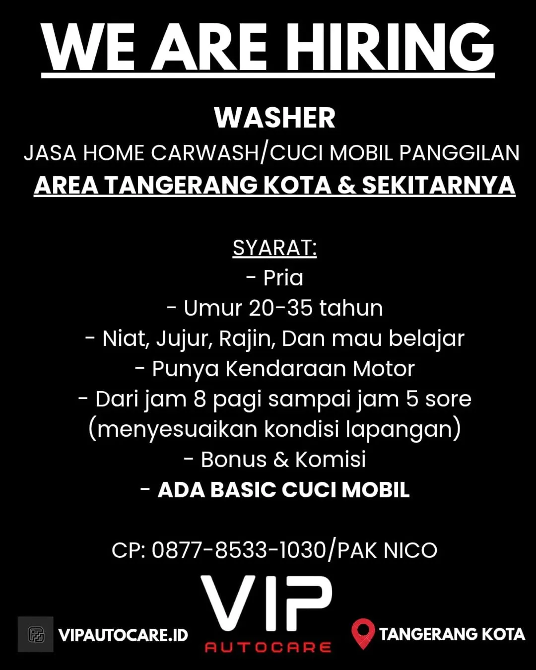 Logo VIP AUTO CARE