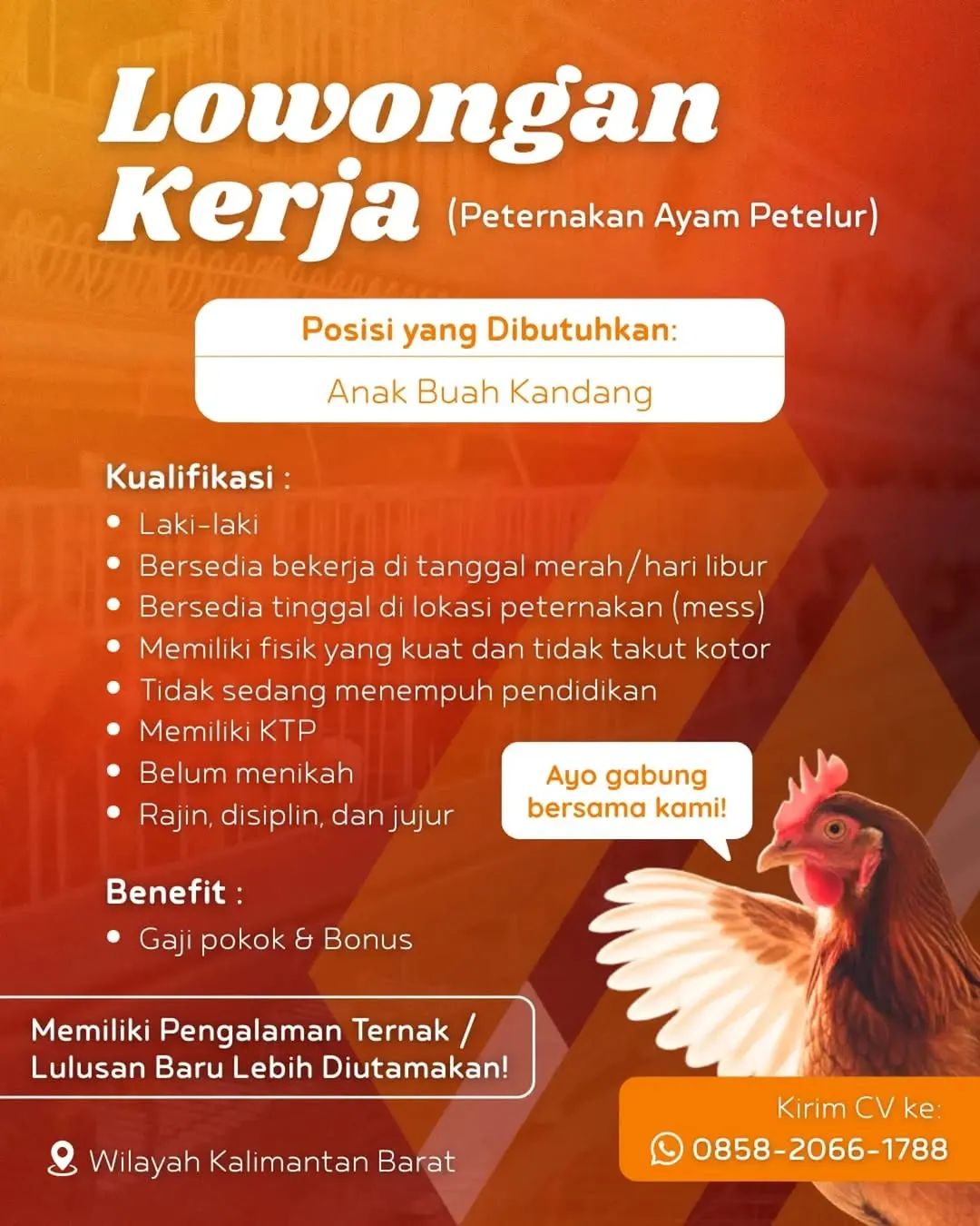Logo Peternakan Ayam Petelur