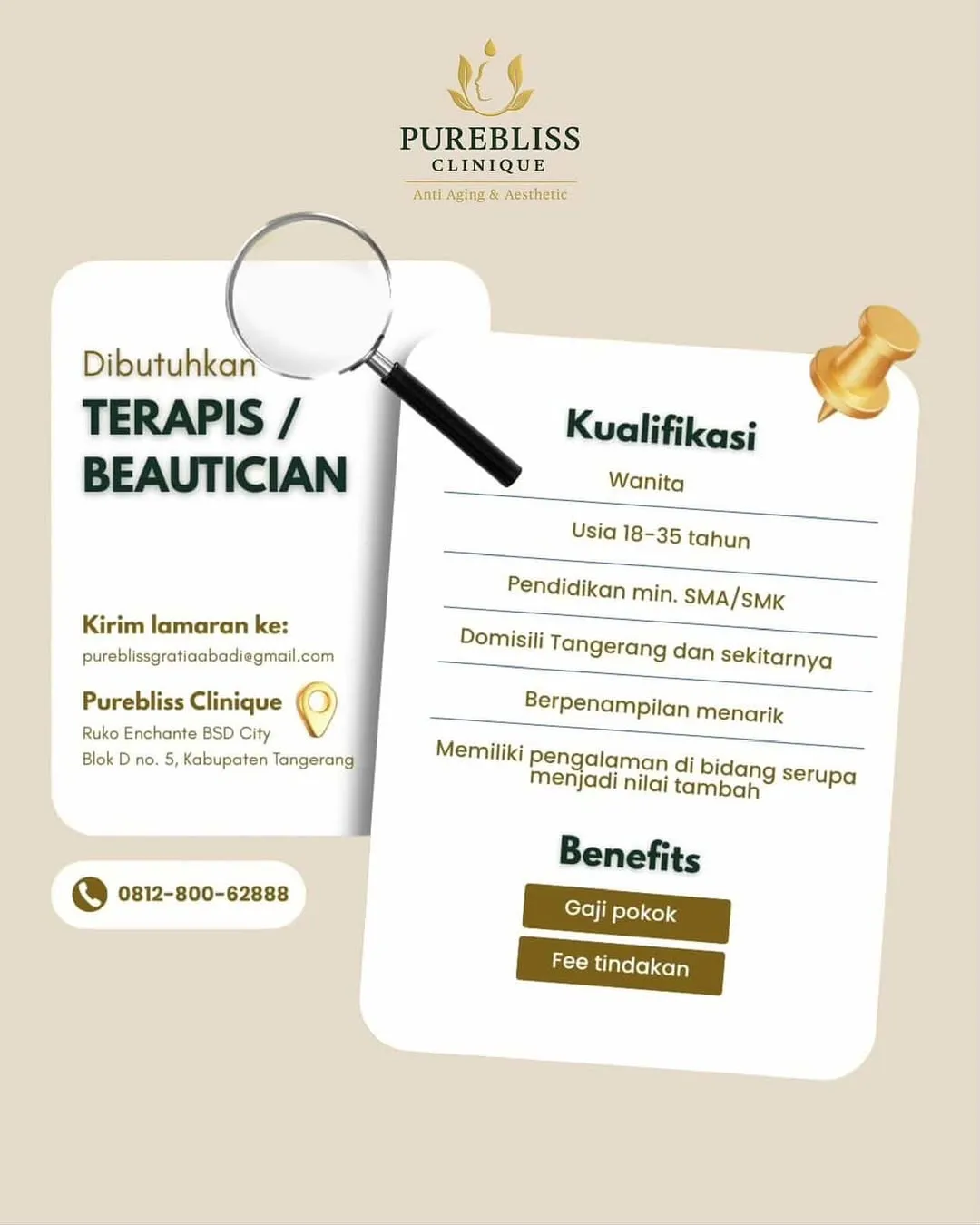 Logo Purebliss Clinique