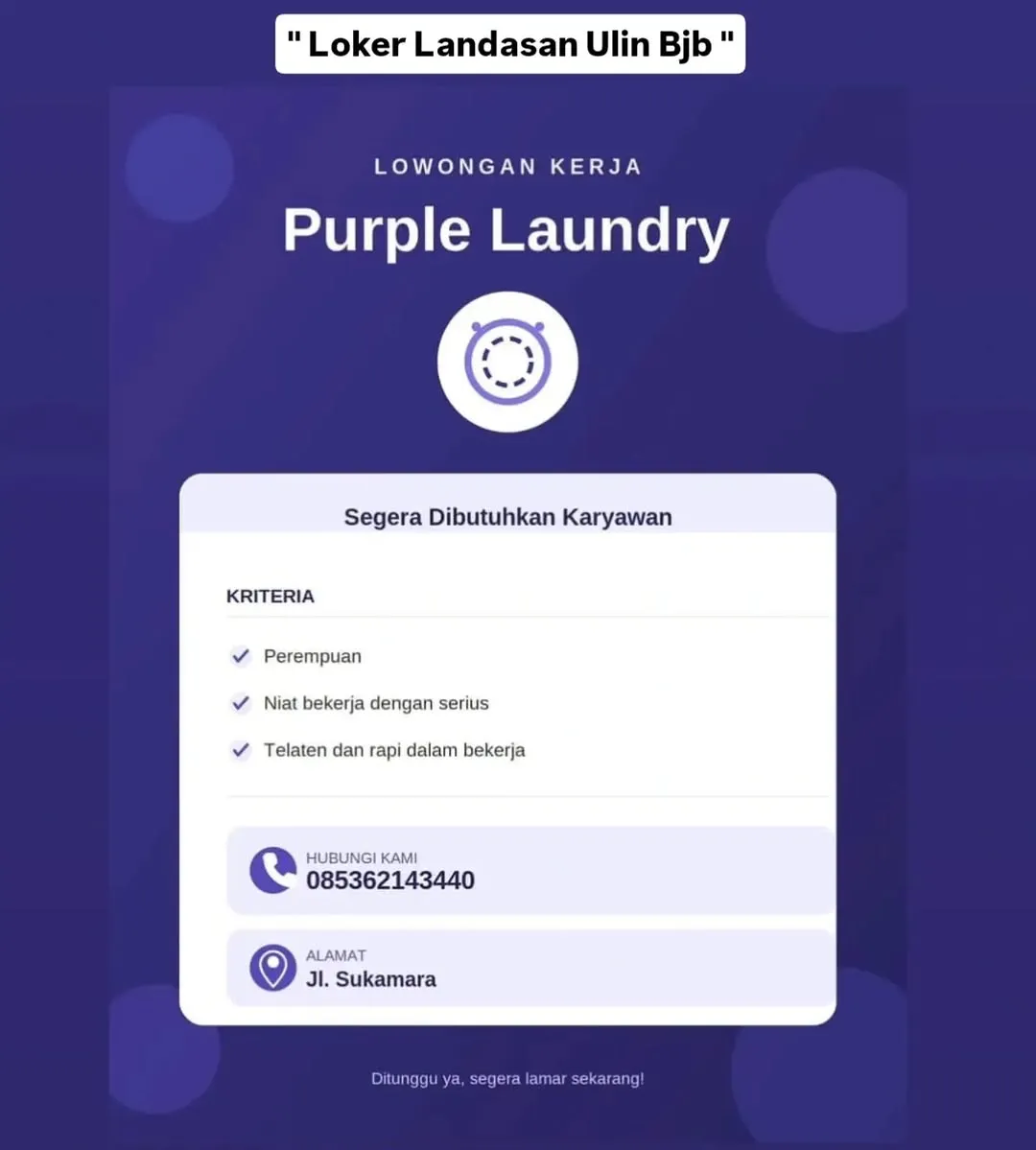 Logo Purple Laundry