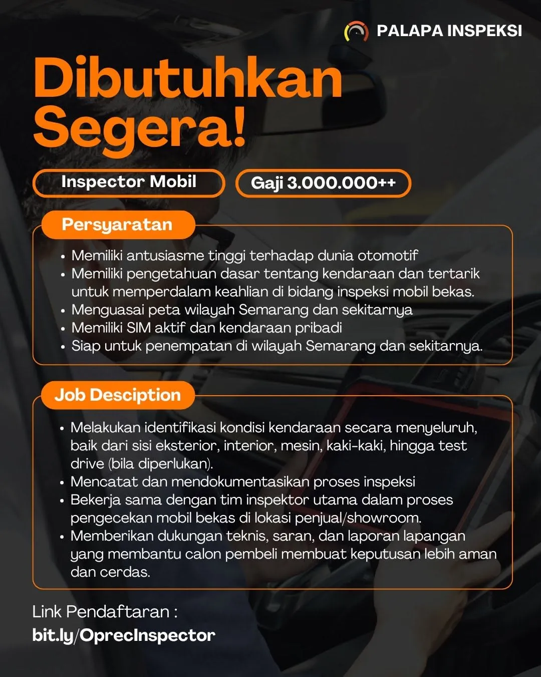 Logo PALAPA INSPEKSI