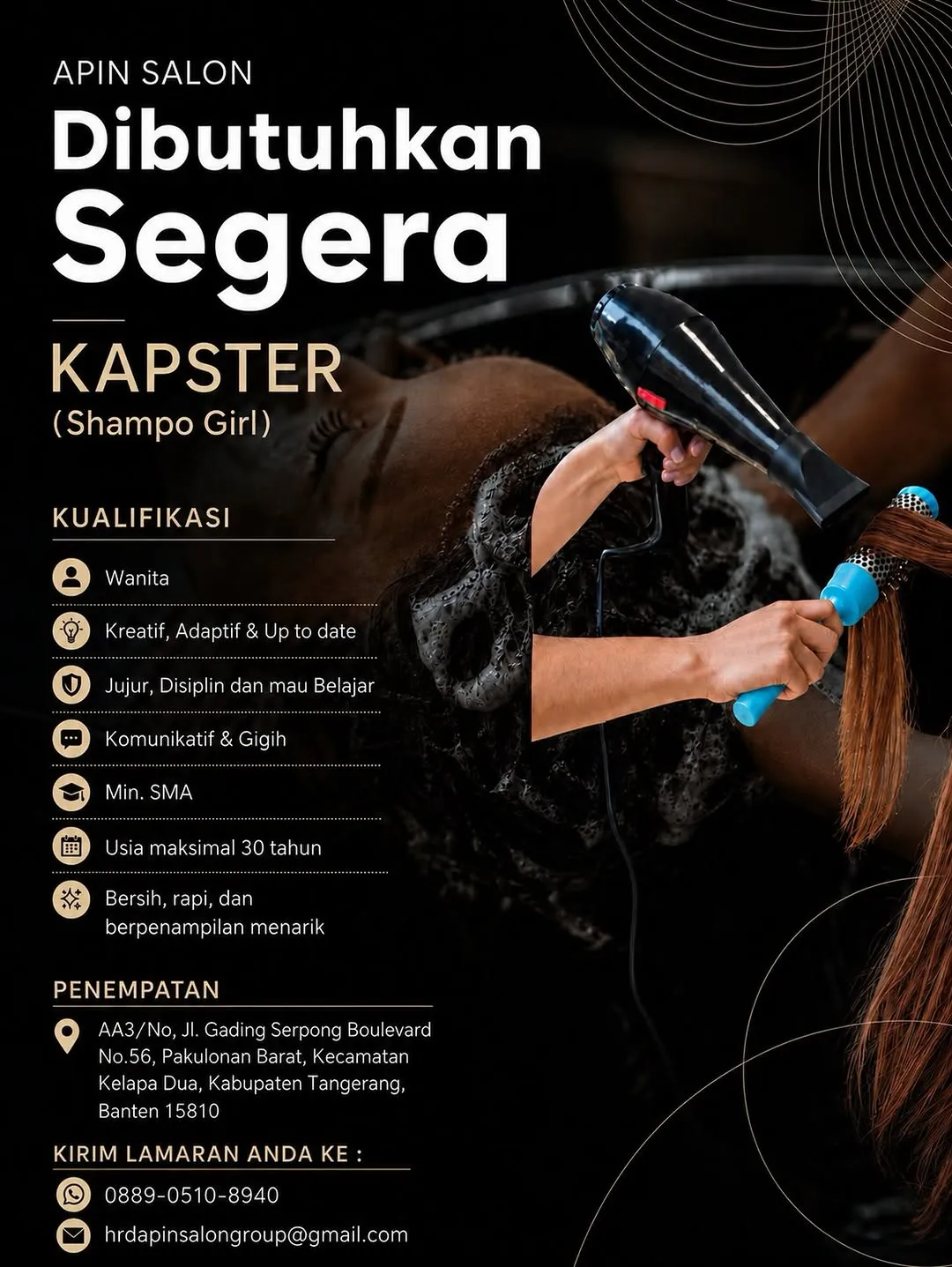Logo Apin Salon