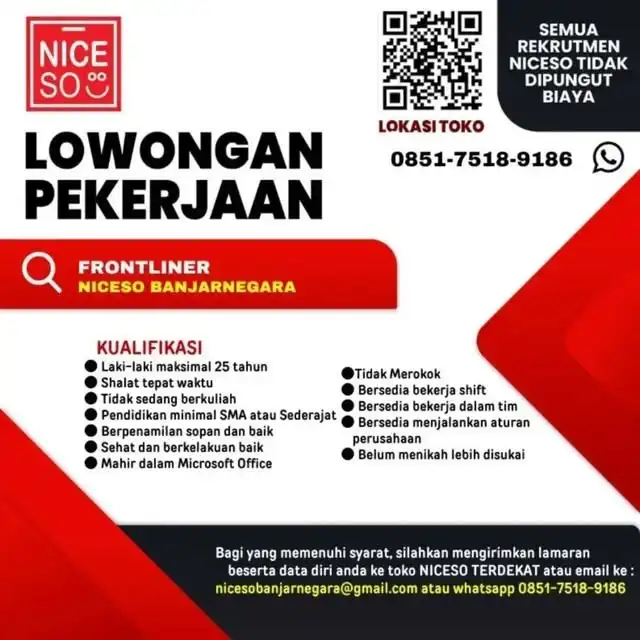 Logo Niceso