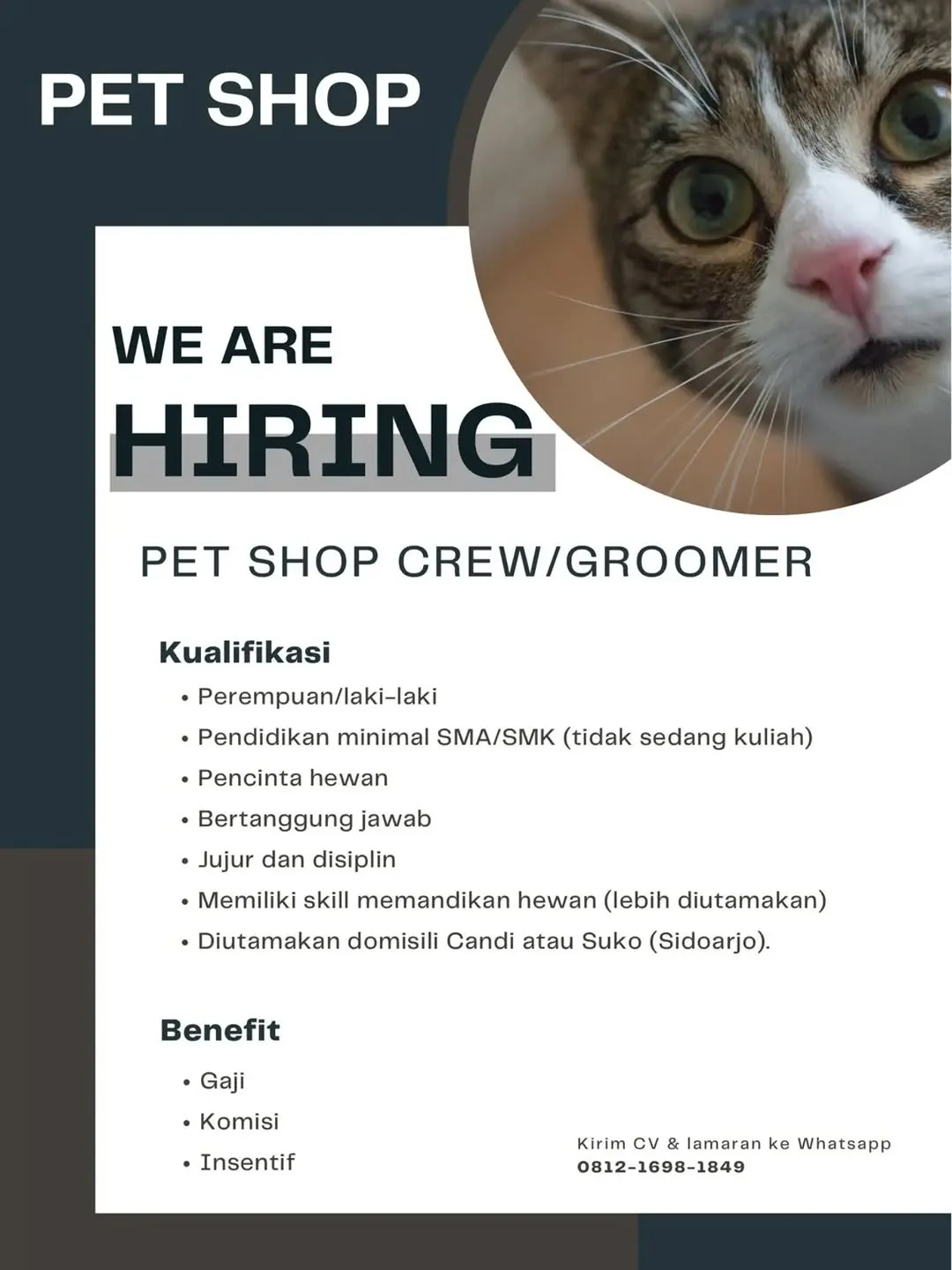 Logo Pet Shop