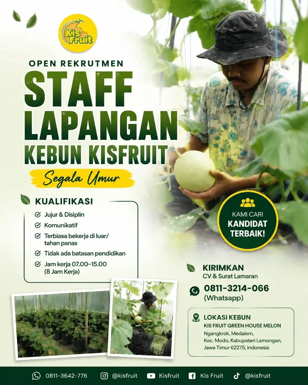 Logo Kis Fruit