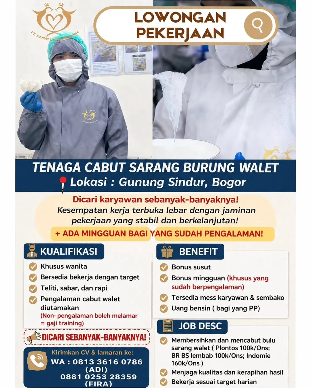 Logo PT. Sumber Langgeng Nusantara