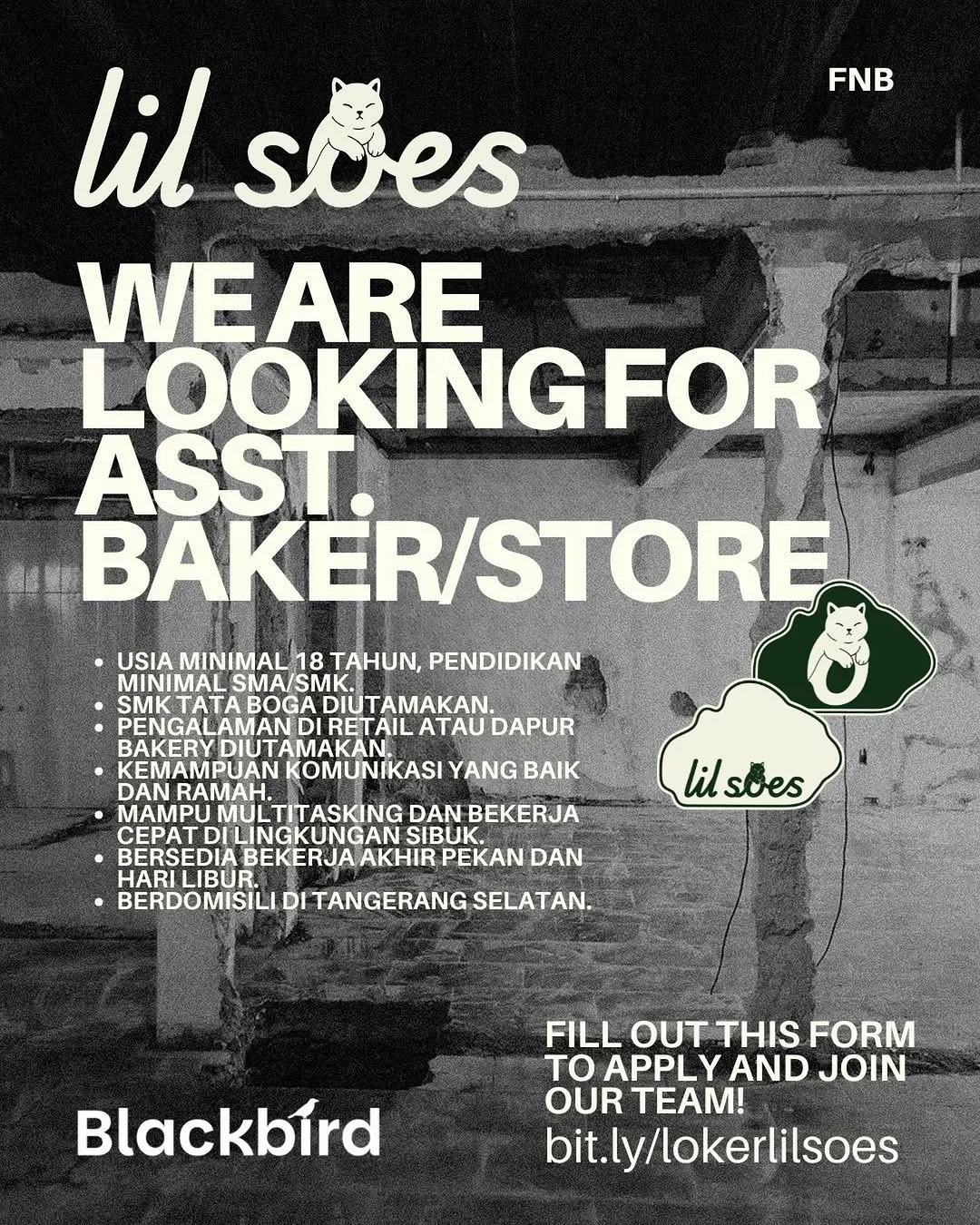 Logo lil soes