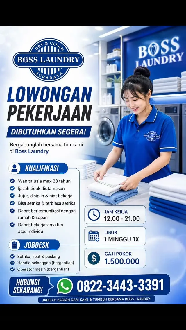 Logo Boss Laundry