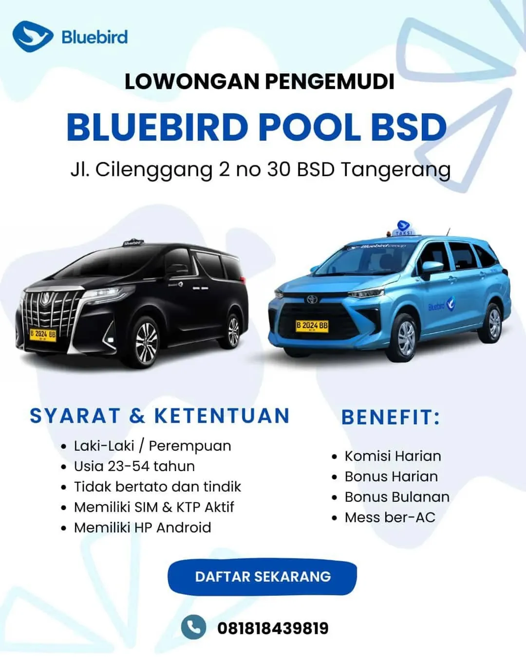 Logo Bluebird